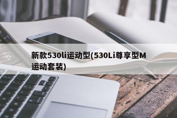 新款530li运动型(530Li尊享型M运动套装)