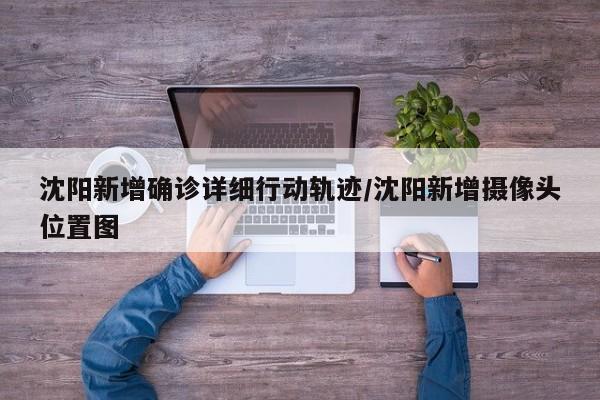 沈阳新增确诊详细行动轨迹/沈阳新增摄像头位置图