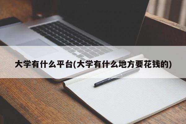 大学有什么平台(大学有什么地方要花钱的)